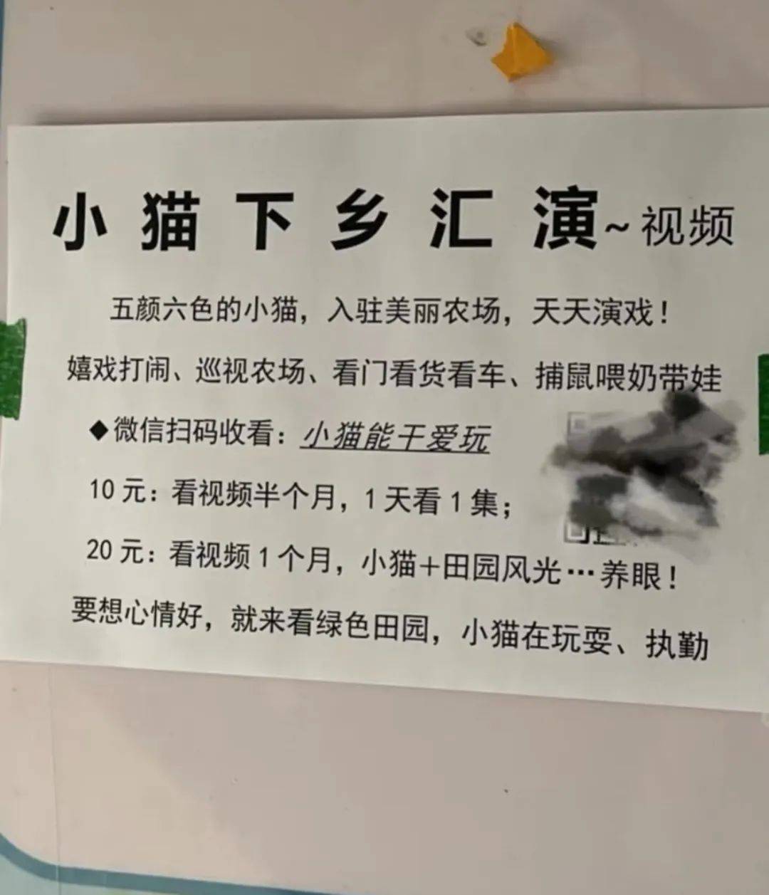 全網(wǎng)追蹤的“賣貓片”可疑廣告，結(jié)果出人意料:鋼筋網(wǎng)片
